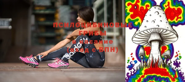 тгк Алзамай